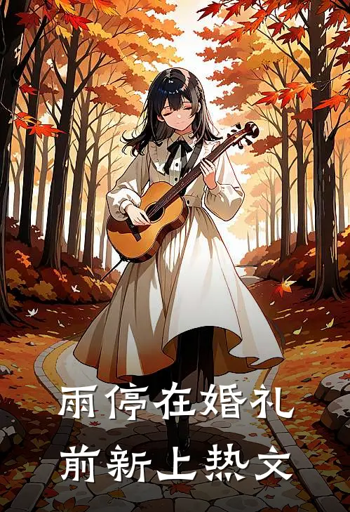 雨停在婚礼前新上热文