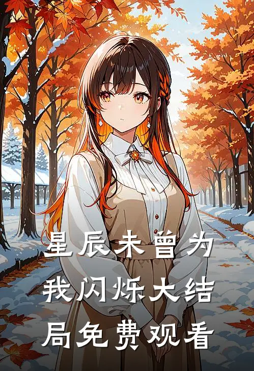 星辰未曾为我闪烁大结局免费观看