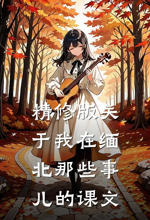 精修版关于我在缅北那些事儿的课文