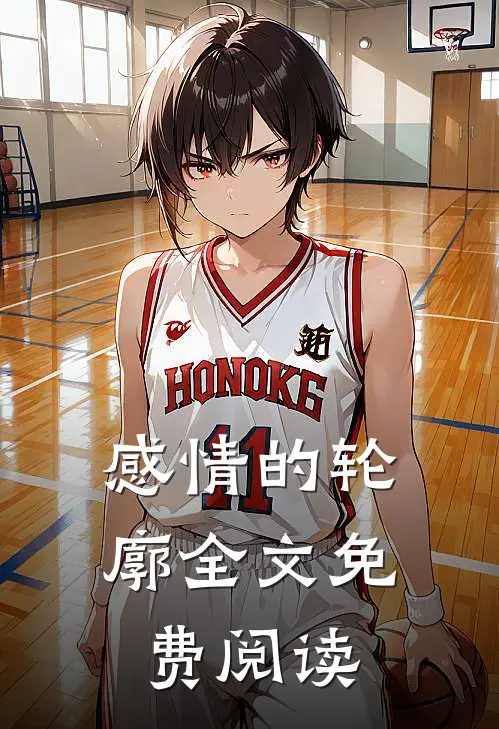 感情的轮廓全文免费阅读