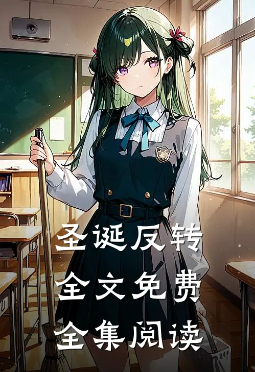 圣诞反转全文免费全集阅读