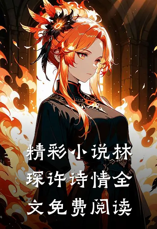 精彩小说林琛许诗情全文免费阅读