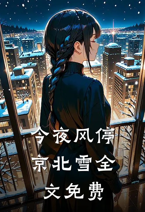 今夜风停京北雪全文免费