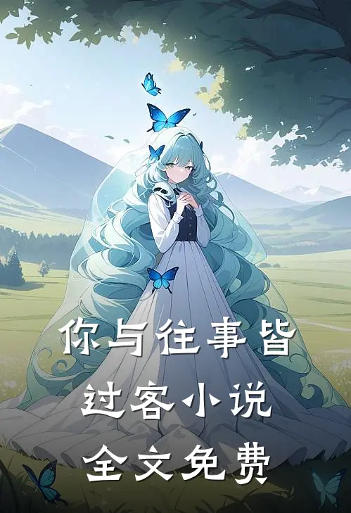 你与往事皆过客小说全文免费