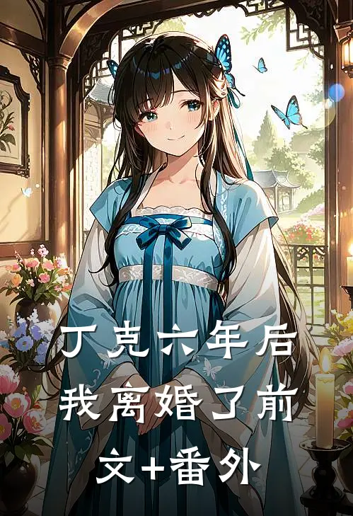 丁克六年后，我离婚了前文+番外
