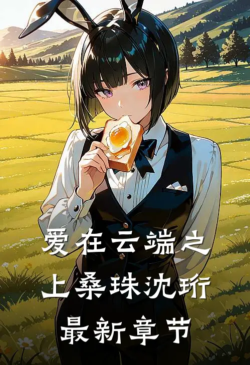 爱在云端之上桑珠沈珩最新章节