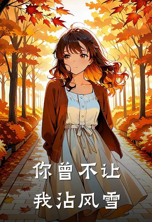 你曾不让我沾风雪