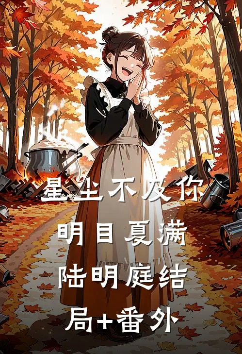 星尘不及你明目夏满陆明庭结局+番外