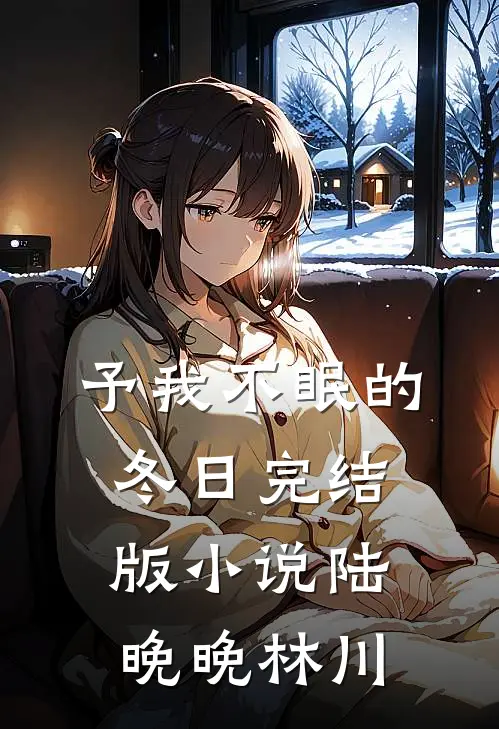 予我不眠的冬日完结版小说陆晚晚林川
