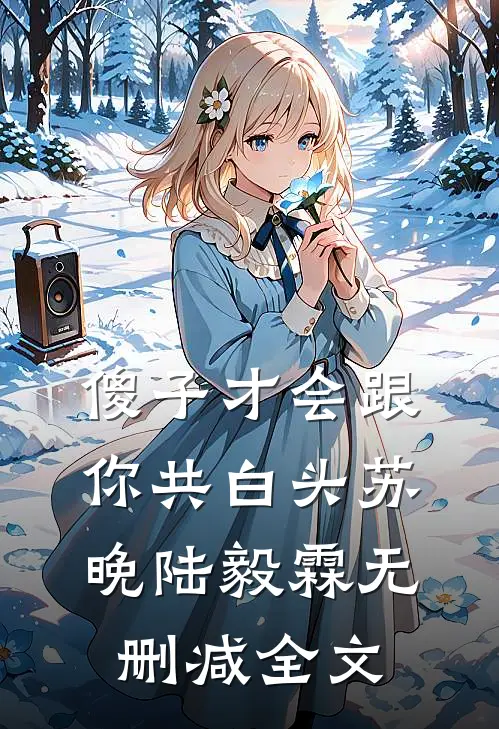 傻子才会跟你共白头苏晚陆毅霖无删减全文