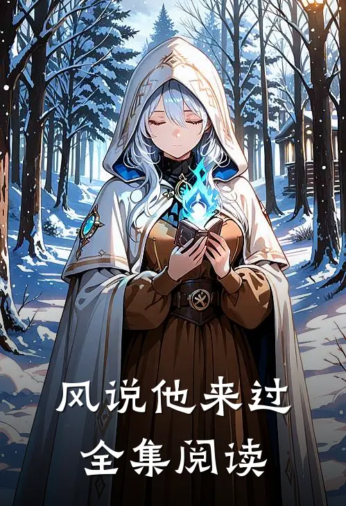 风说他来过全集阅读