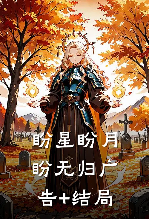 盼星盼月盼无归广告+结局