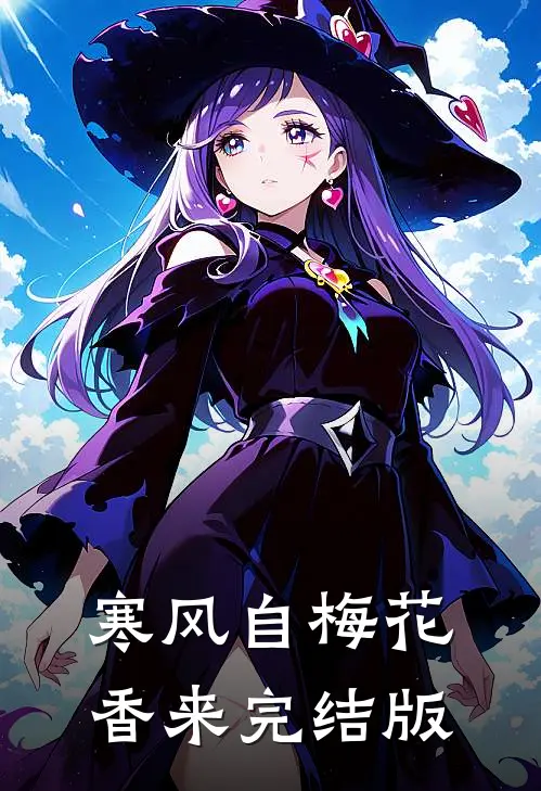寒风自梅花香来完结版