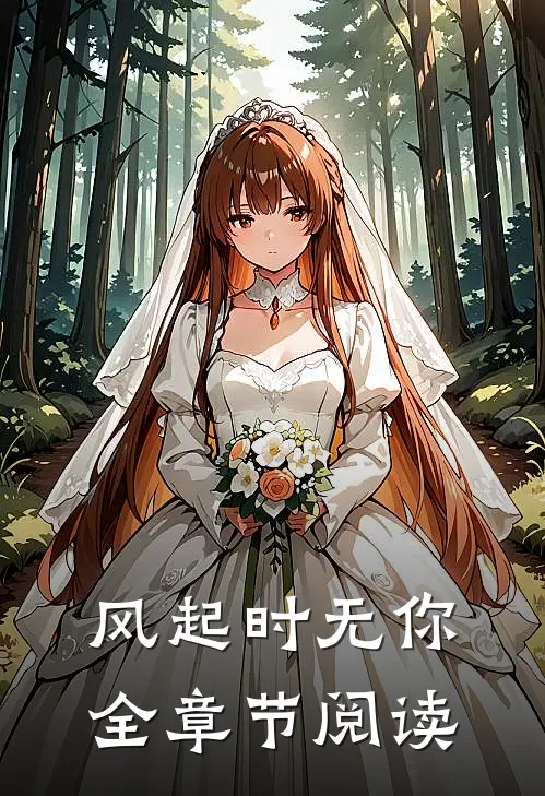 风起时无你全章节阅读