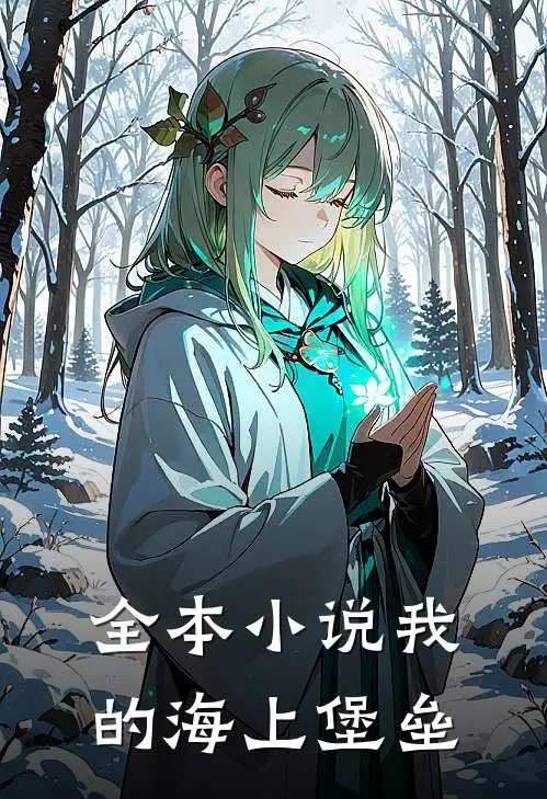全本小说我的海上堡垒