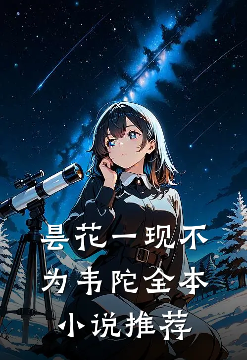 昙花一现不为韦陀全本小说推荐
