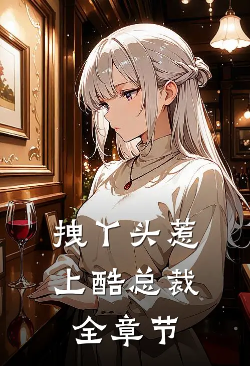 拽丫头惹上酷总裁全章节