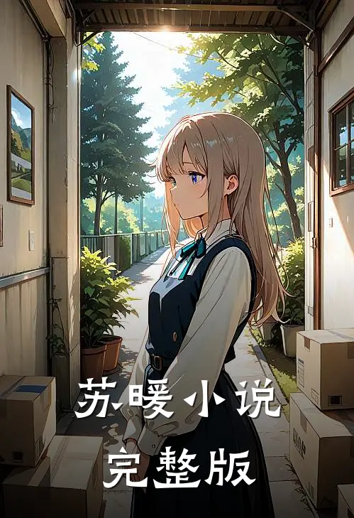 苏暖小说完整版