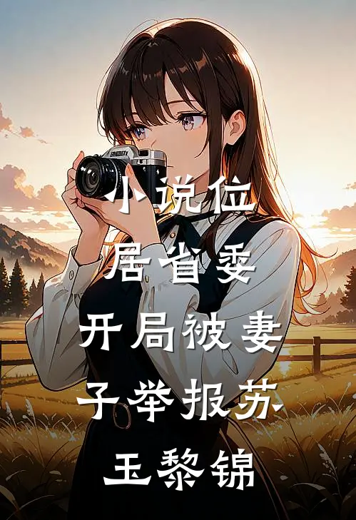 小说位居省委，开局被妻子举报(苏玉黎锦)