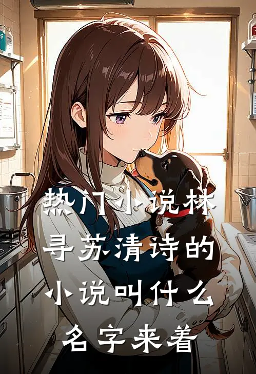 热门小说林寻苏清诗的小说叫什么名字来着