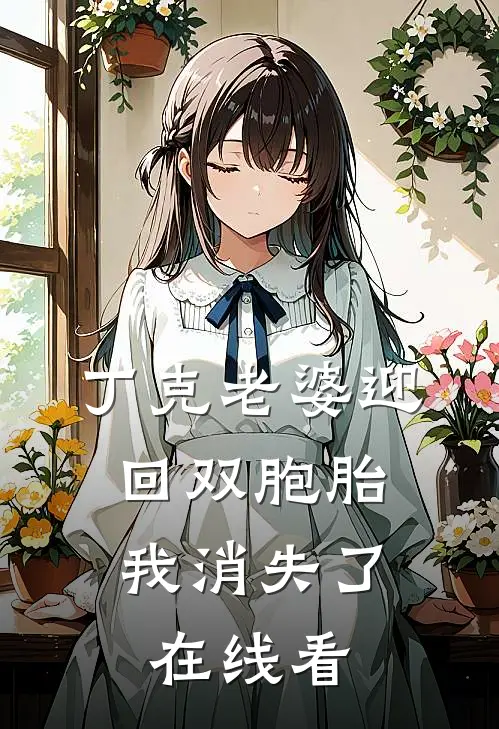 丁克老婆迎回双胞胎，我消失了在线看