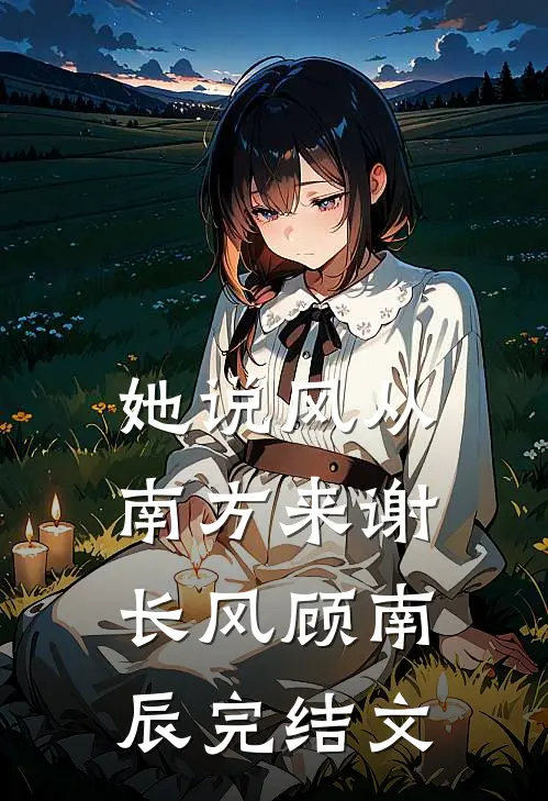 她说风从南方来谢长风顾南辰完结文