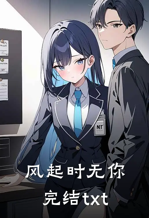 风起时无你完结txt