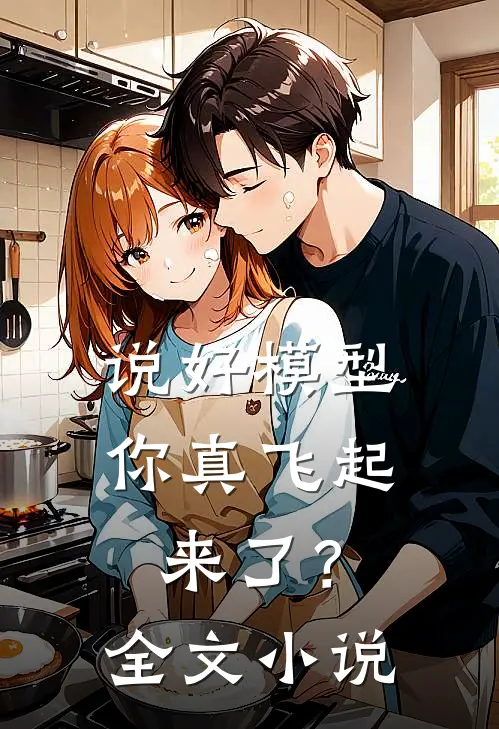 说好模型，你真飞起来了？全文小说