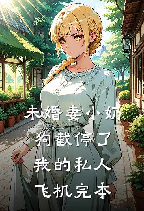 未婚妻小奶狗截停了我的私人飞机完本