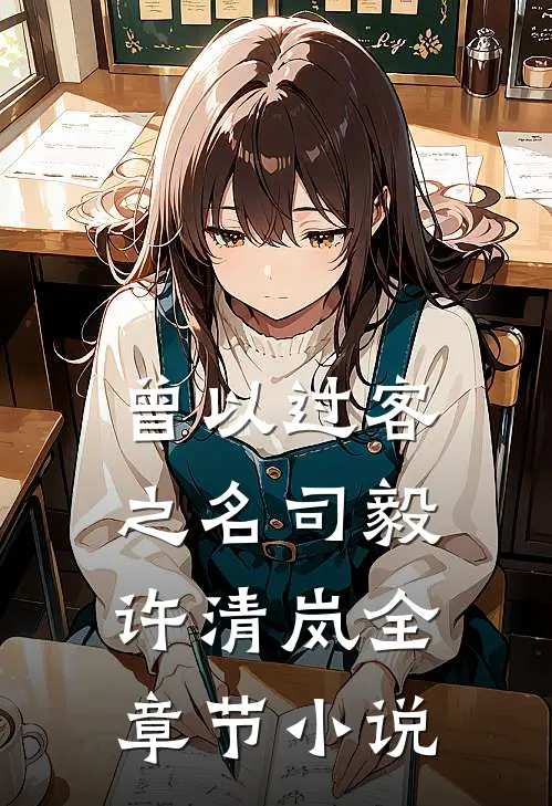 曾以过客之名司毅许清岚全章节小说
