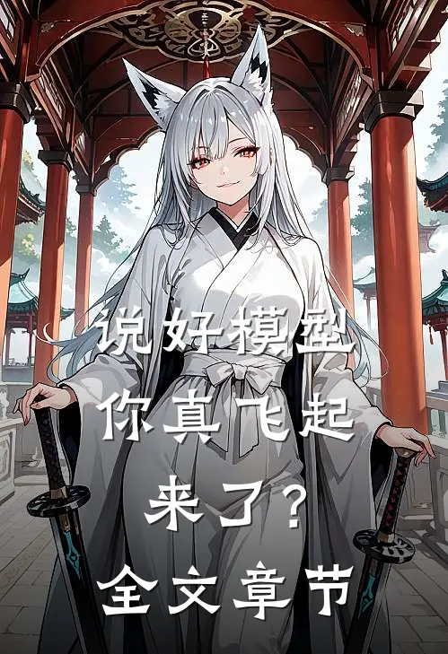 说好模型，你真飞起来了？全文章节