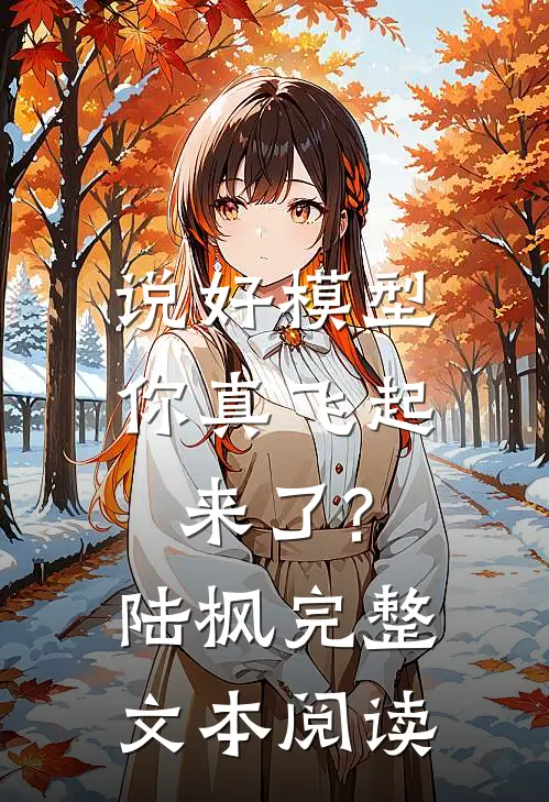 说好模型,你真飞起来了?陆枫完整文本阅读