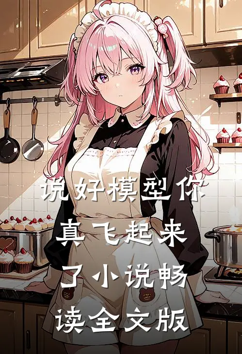 说好模型你真飞起来了小说畅读全文版