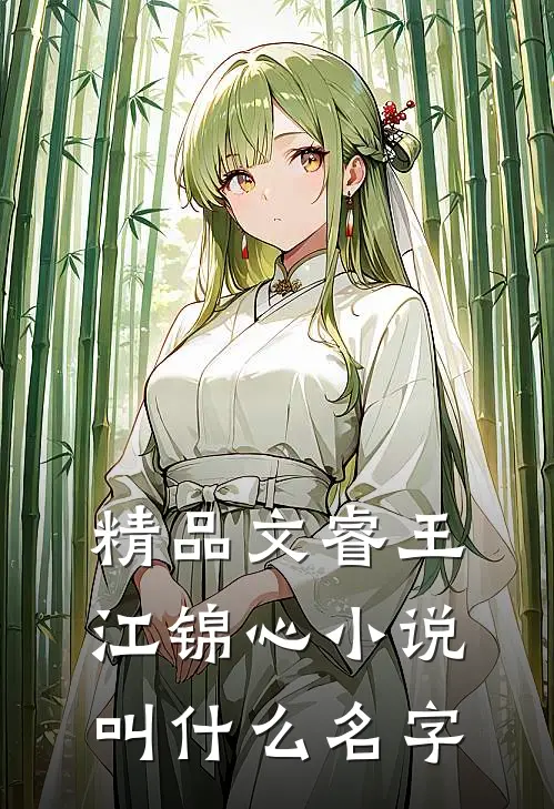 精品文睿王江锦心小说叫什么名字