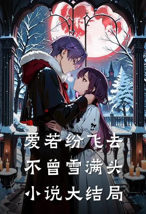 爱若纷飞去，不曾雪满头小说大结局