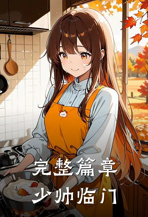 完整篇章少帅临门
