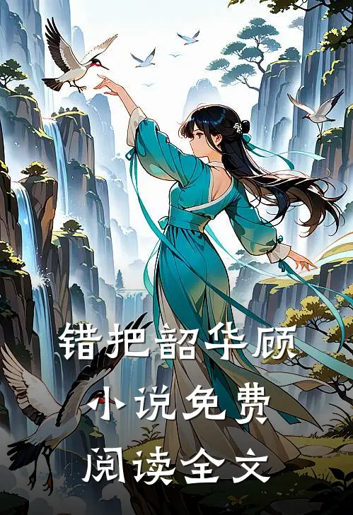 错把韶华顾小说免费阅读全文