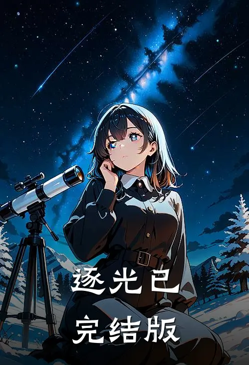 逐光已完结版