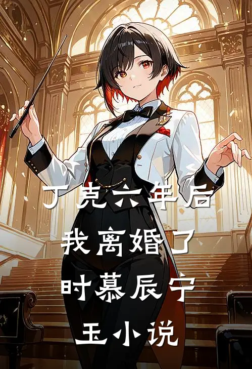 丁克六年后，我离婚了时慕辰宁玉小说