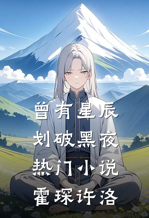 曾有星辰划破黑夜热门小说霍琛许洛