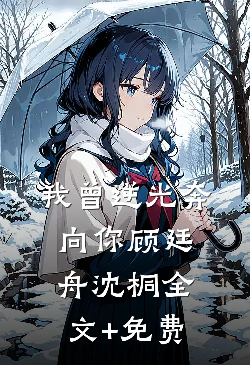 我曾逆光奔向你顾廷舟沈桐全文+免费