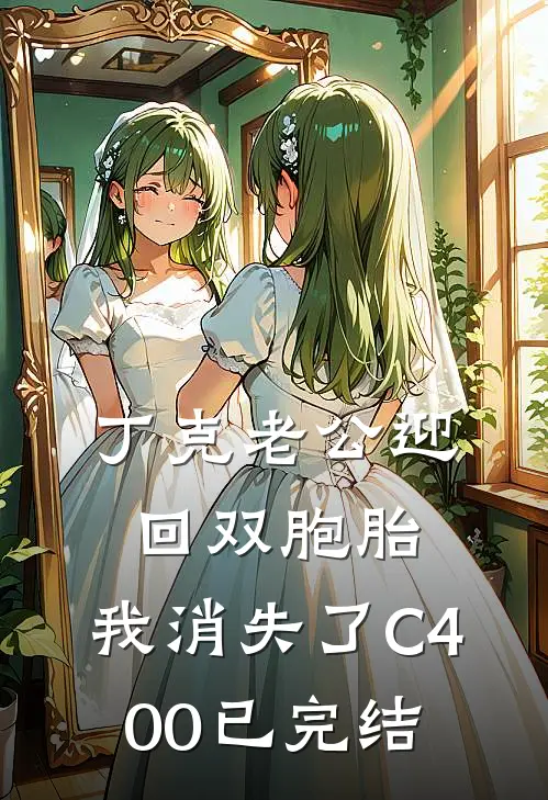 丁克老公迎回双胞胎，我消失了C400已完结