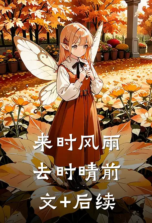 来时风雨去时晴前文+后续